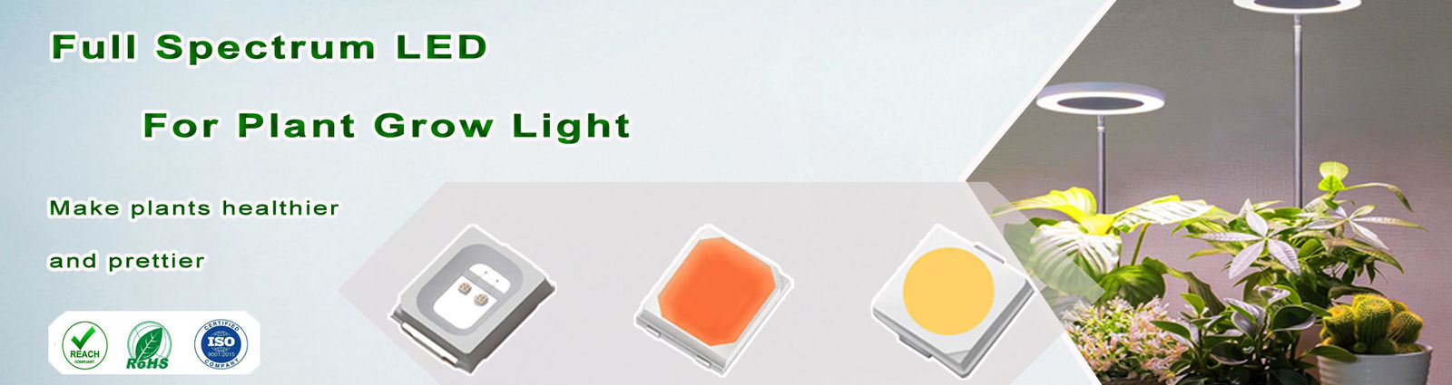 LED SMD ثنائي اللون