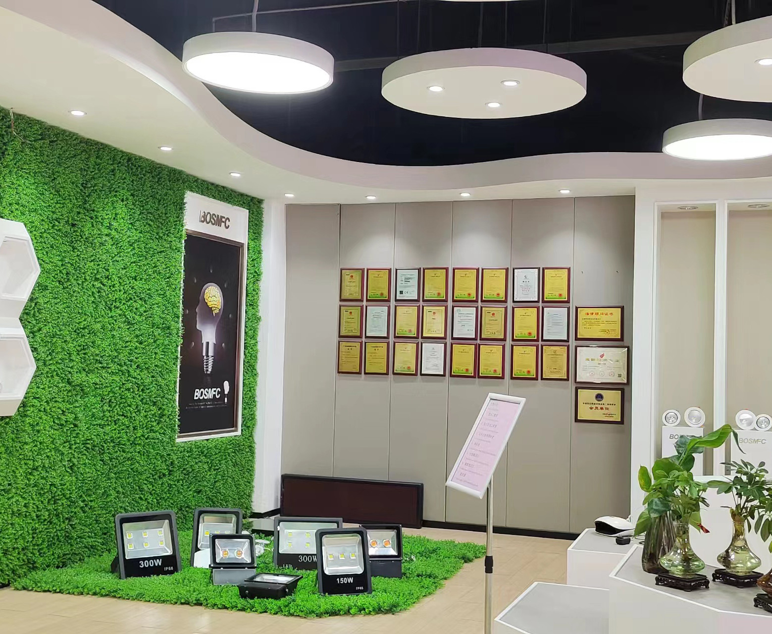 الصين Dongguan Lanjin Optoelectronics Co., Ltd. ملف الشركة