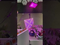 2835 SMD LED PCB الطيف الكامل COB للنباتات LED Grow Light