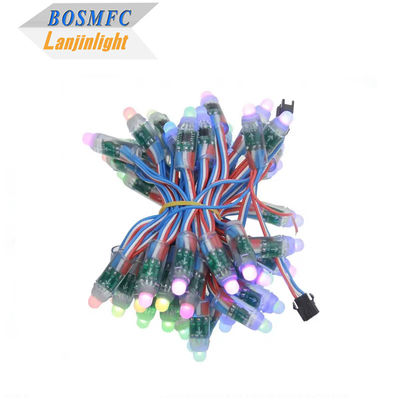 مصنع كامل اللون قابل للبرمجة DC5V WS2811 RGB Pixel Light String مقاوم للماء IP68 9mm 12mm سلسلة LED